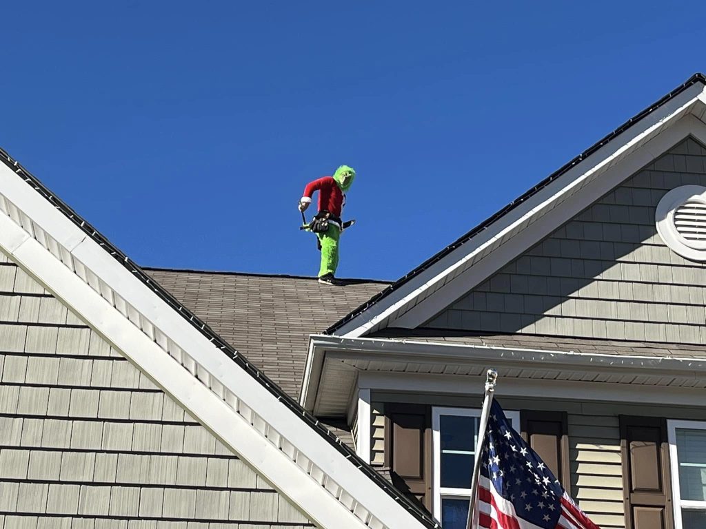 Roof Inspection​