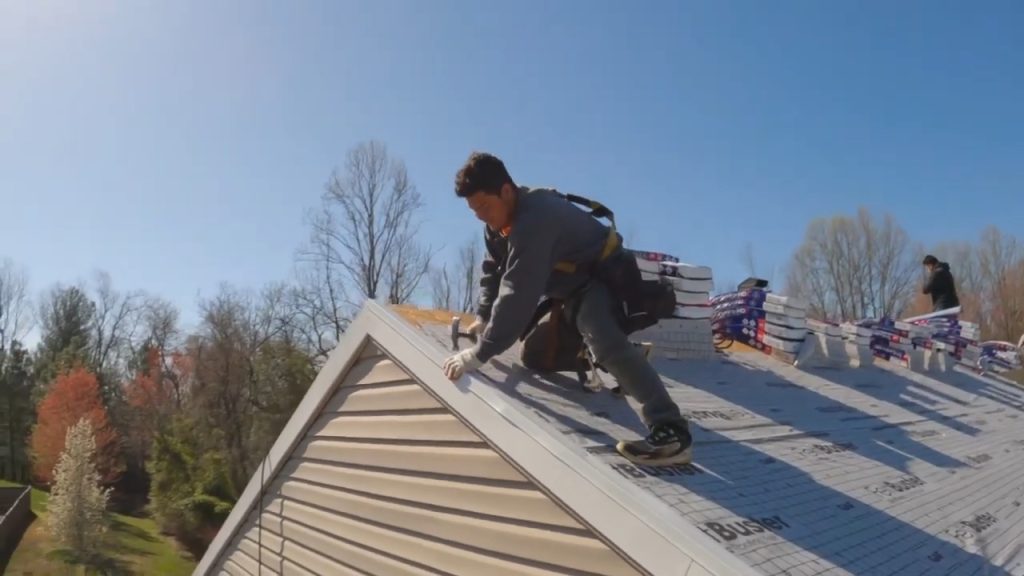 Roof Cleaning​