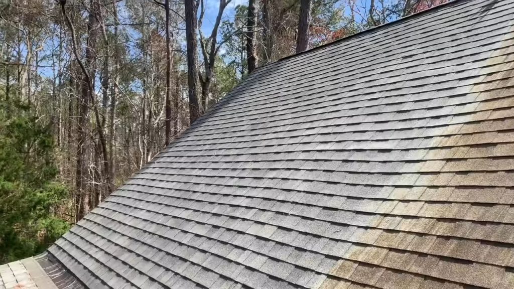 Soft Wash Roof Cleaning​